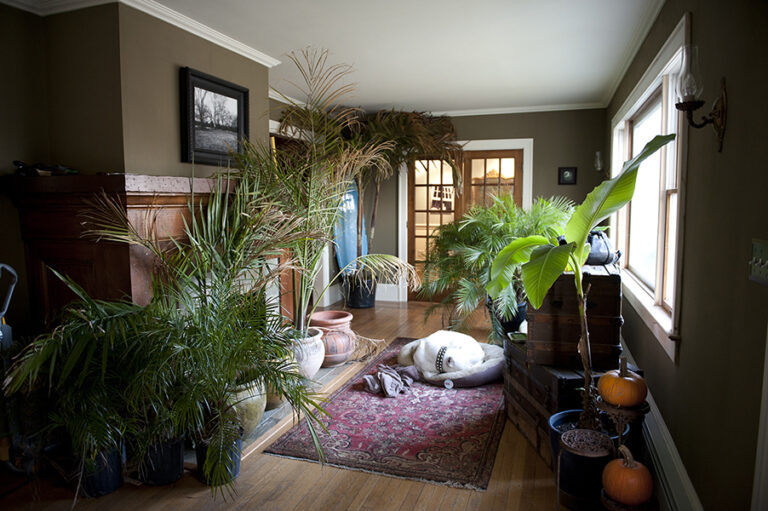 Dutch Colonial Renovation in the Gables of Neptune by Surfwood Solutions, Monmouth County, NJ